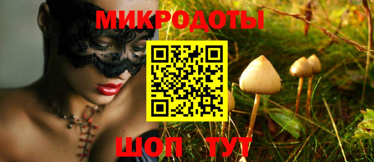 Псилоцибиновые грибы ЛСД Новоалександровск